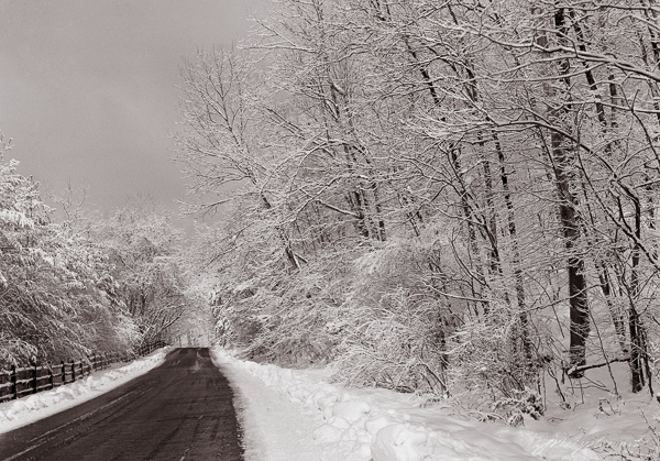 Along Lime Kiln Road in Winter, copyright J. Riley Stewart, 40x32 in archival pigment print.