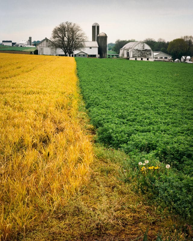 Distinctive crop patterns in Amish Country, Pennsylvania