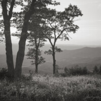 Driving on the Blue Ridge Parkway during the evening hours is different. The caravans of cars and motorcycles become rare. It gets quiet. The falling light brings on the birdsongs and crickets. And still, you know that the bustle of humanity continues on in the valley towns far below. B&W vista from Skyline Drive Shenandoah NP
