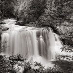 On some days, it's a mere trickle. But not today. I never know what to expect when setting out to visit a waterfall. More than any other landscape feature, waterfalls can be very unpredictable. They can be calm and quiet or angry and noisy, or anything in between. On this day, I found Blackwater Falls in West Virginia a bit full of herself. That's what makes every visit with a waterfall unique.<br /><br /> B&W image of Blackwater Falls WV