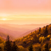 Autumn in the Smoky Mountains can be astonishing when yellow leaves catch the light of the rising sun. Autumn vista at sunrise in Great Smoky Mountains NP