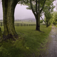 Foggy scenic along Foggy Bottom Road near Bluemont, VA Foggy scenic along Foggy Bottom Road near Bluemont, VA