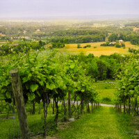 Vista overlooking a vineyard and the Loudoun Valley Vista overlooking a vineyard and the Loudoun Valley